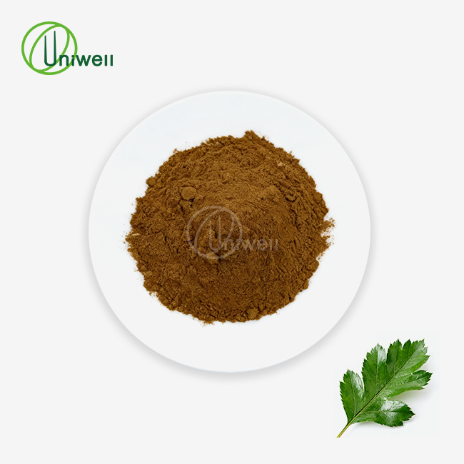 Hawthorn Leaf Extract Powder